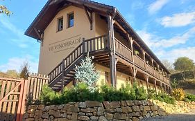 Penzion Ve Vinohrade