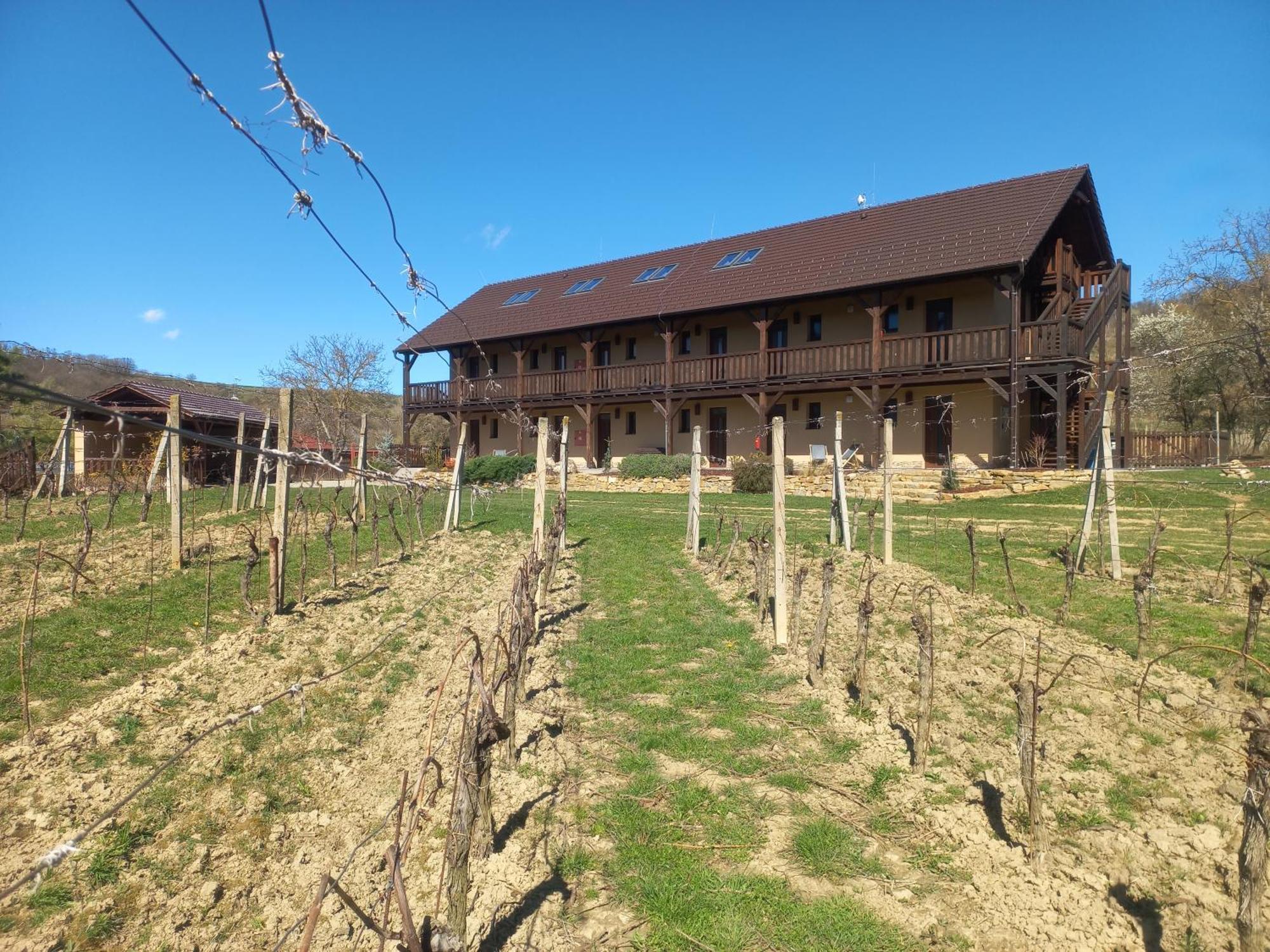 Penzion Ve Vinohrade Němčičky Zewnętrze zdjęcie